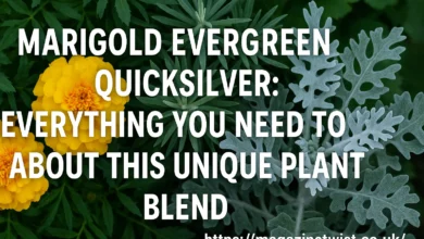 Marigold Evergreen Quicksilver