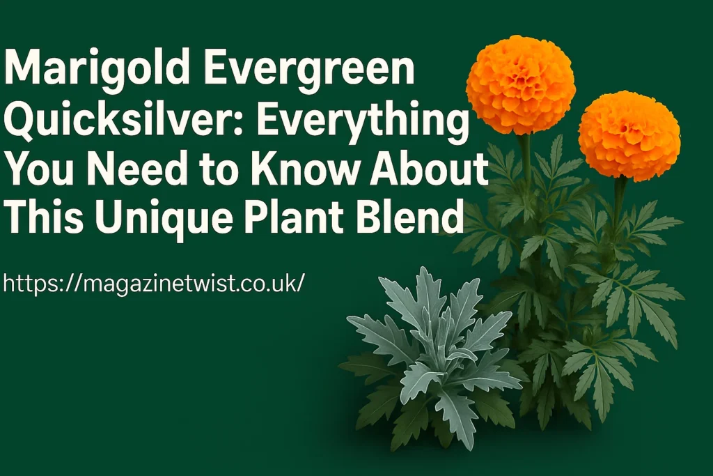 Marigold Evergreen Quicksilver: Everything You Need to Know About This Unique Plant Blend
