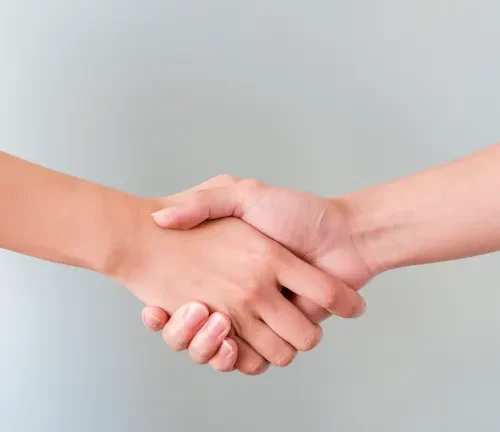 Handshake between a landlord and tenant, symbolising agreement on compliance responsibilities