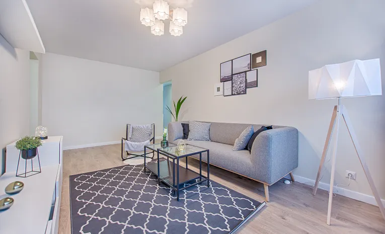 Grey fabric sofa in a bright living room